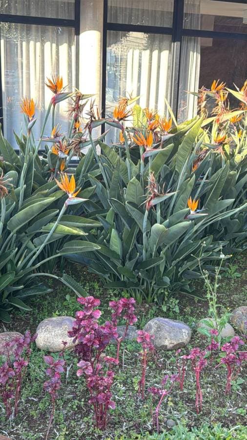 Zdjęcie 2 wykonane przez Ilona R. (6.01.26)