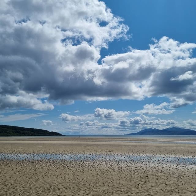 Photo by Matthew S. (8/15/23)