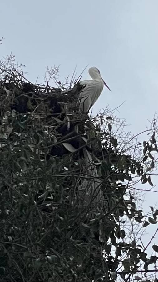 Foto 3 van Paul B. (29-2-24)