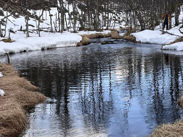 Photo 1 by Mary P. (5/10/26)