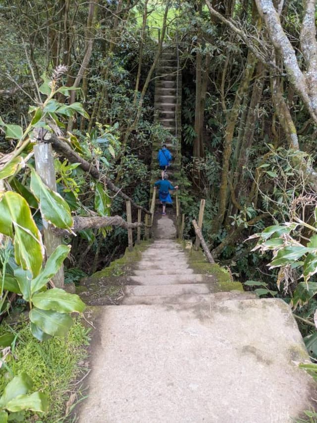 Photo 1 par Jocelyn L. (19/05/25)