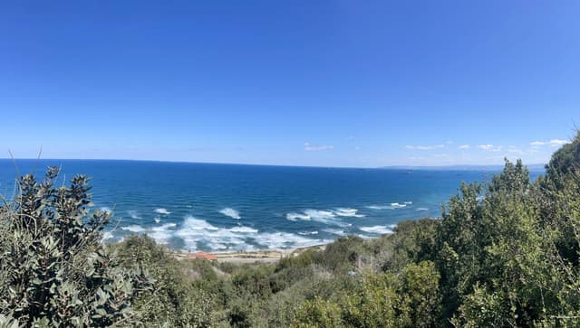 Photo 1 by Amaris M. about renting a Suzuki Alto in Israel (4/16/25)