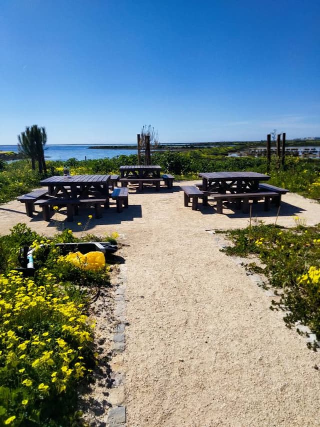Photo 1 by Susan C. about hiring a Fiat Panda at Faro Airport (05/03/26)
