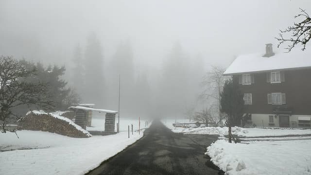 Photo 1 by Tatang W. about renting a Volkswagen Polo in Switzerland (3/25/24)