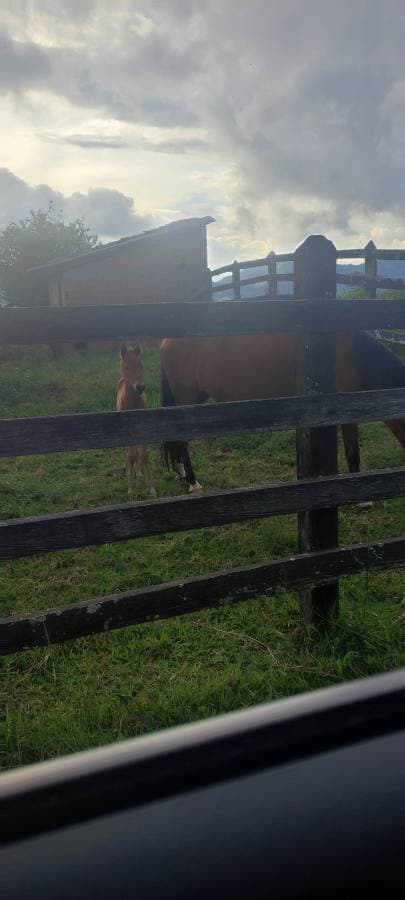 Foto de Julian Alberto A. (11/12/25)