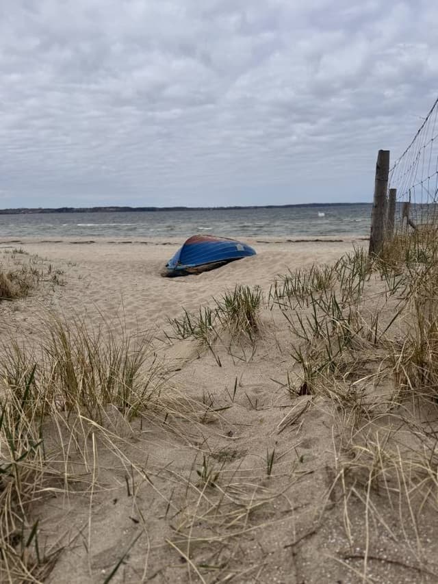 Zdjęcie 1 wykonane przez Ireneusz S. (24.04.26)