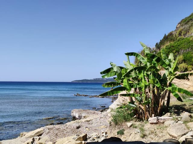 Foto 1 di Dino V. (05/07/22)