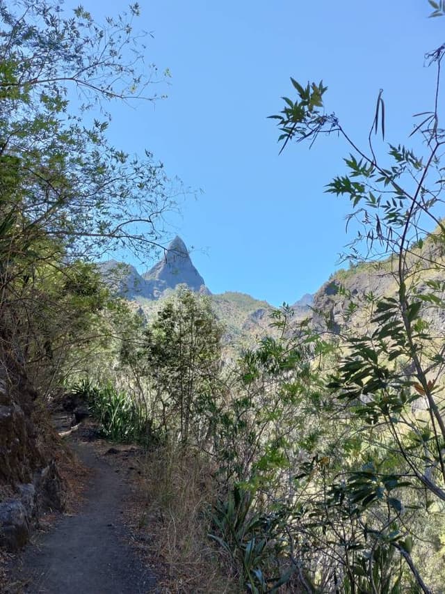 Photo 1 par Remi C. (15/10/25)