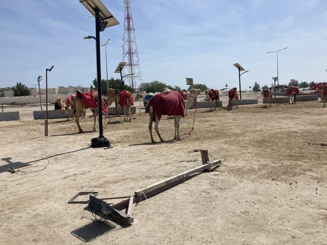 Photo 1 by Kollol A. about renting a Renault Logan in Qatar (2/16/24)