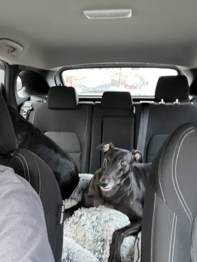 Photo 1 by Daniel C. about renting a Nissan Qashqai at Dublin Saint Catherine's (1/20/25)