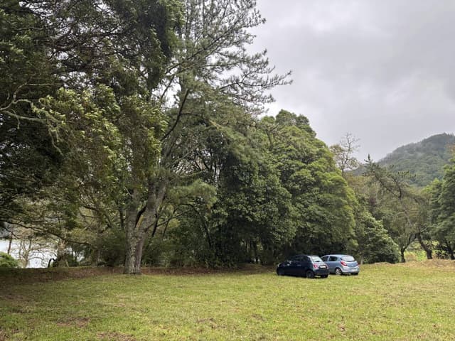 Photo 1 by Victor M. (11/22/25)