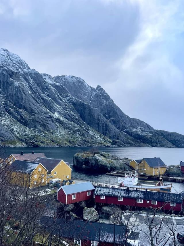 Photo 1 by Luca M. (11/4/24)