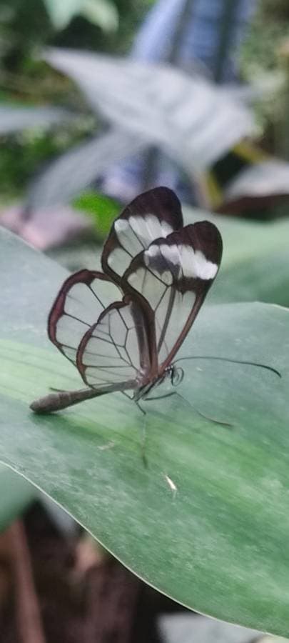 Foto 4 de Jose Manuel P. (20/11/25)