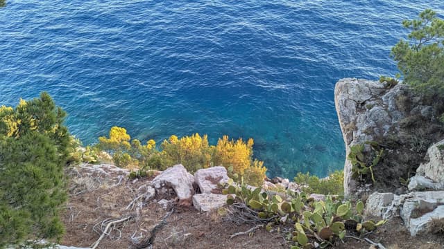 Zdjęcie 2 wykonane przez Volodymyr B. (13.07.25)