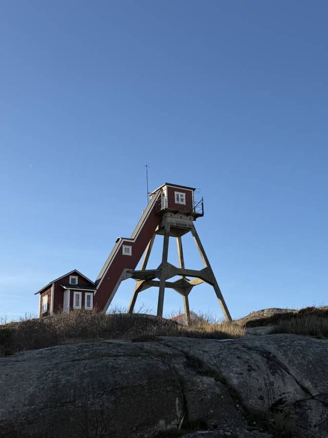 Foto 3 di Arthur M. (02/12/25)