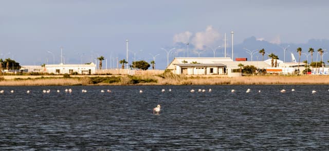 Photo 3 by Simon D. (4/1/26)