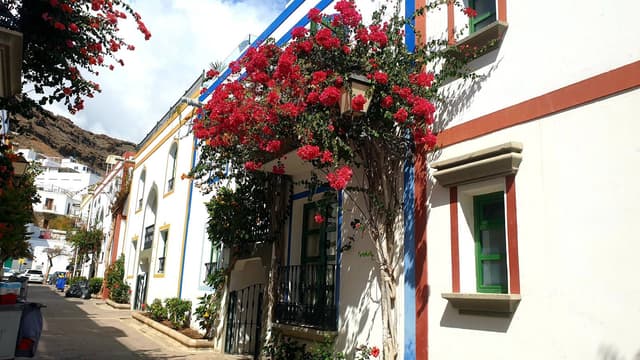 Foto 3 de Domingos S. (23/03/25)