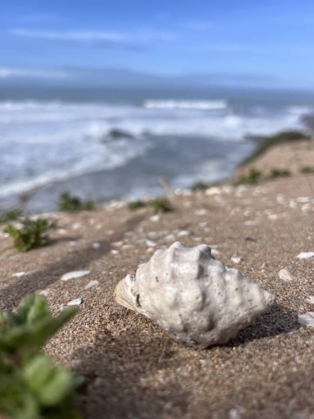 Photo 2 by Joanna K. (2/7/26)