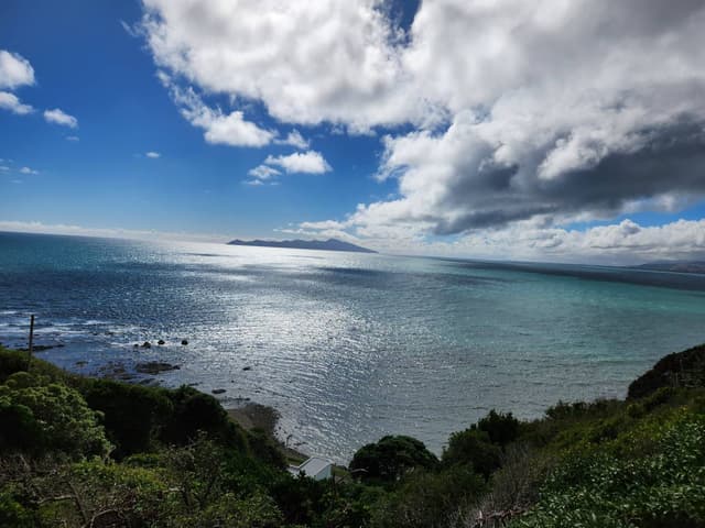 Photo 1 by Kozue K. about renting a Toyota Corolla in Wellington (4/19/24)