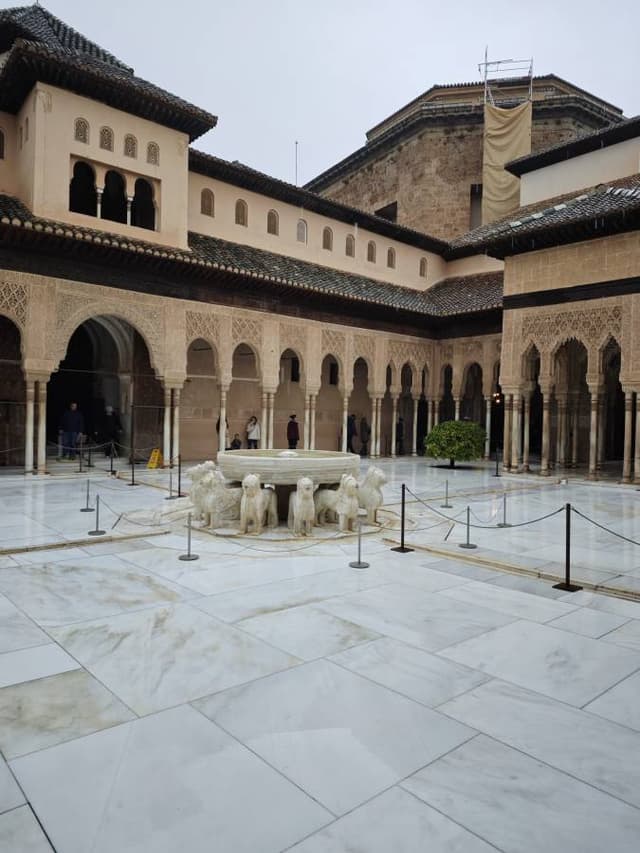 Zdjęcie 1 wykonane przez Marek L. (15.02.26)