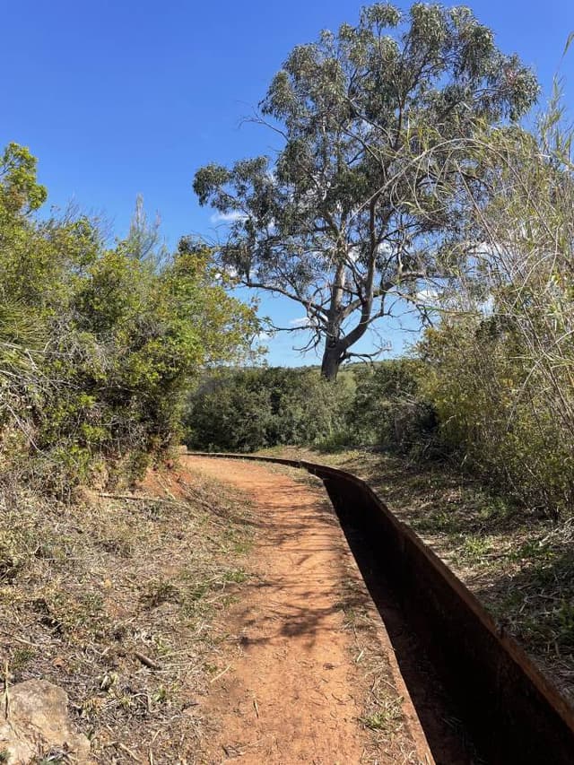 Photo 1 by John R. about renting a Volkswagen T-Cross in Lisbon (5/2/25)