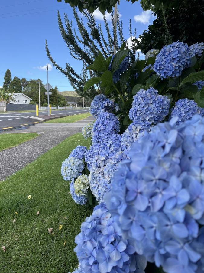 (25/1/19)のレンタルについて、Kuremi T. による写真 2