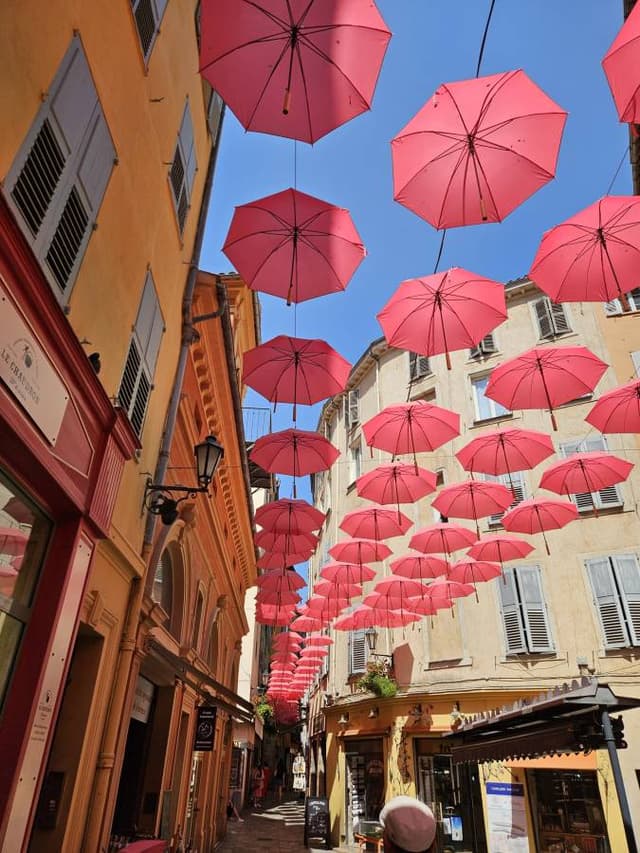 Photo 4 by Vojislav S. about renting a Peugeot 208 in Nice (7/29/24)
