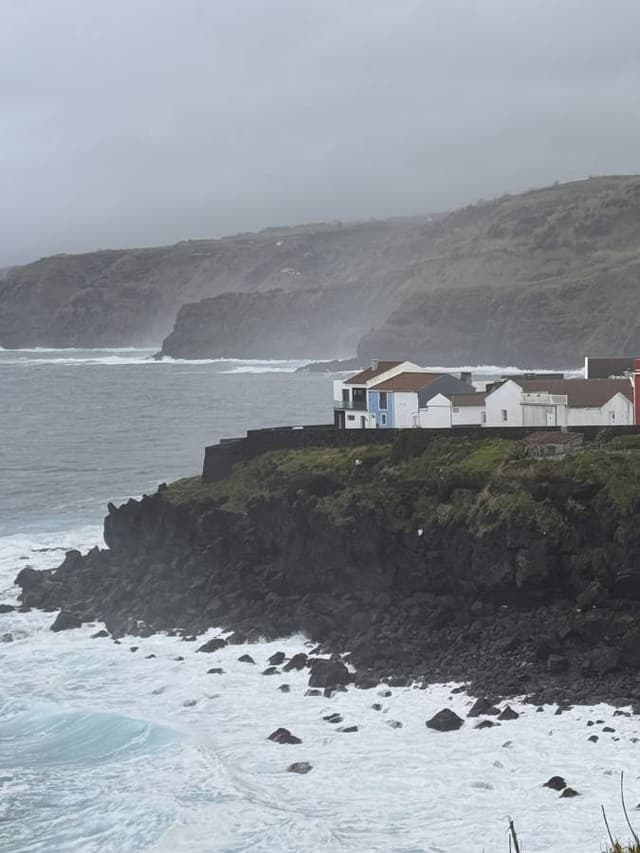 Photo 3 by patrick W. (1/25/26)