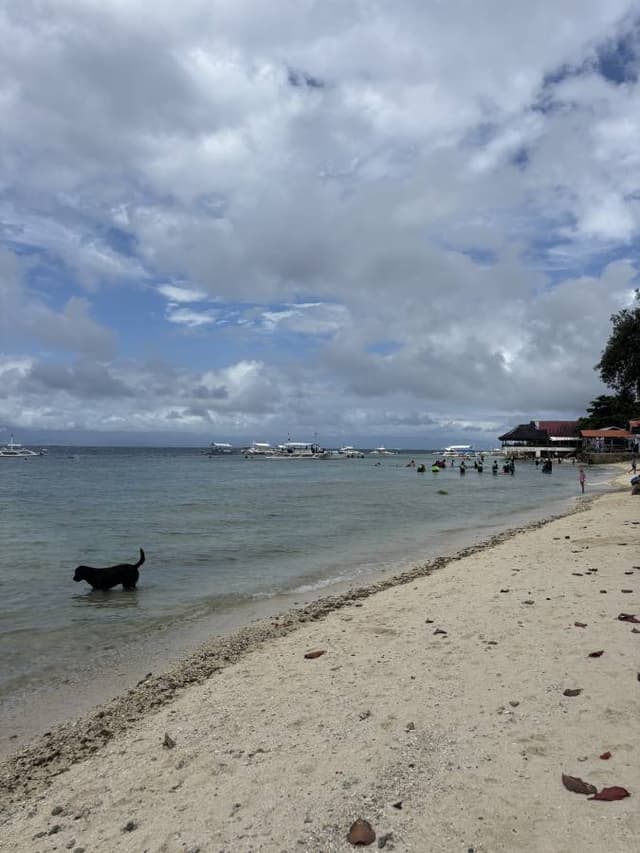 Billede 1 af Sammy Saidane A. (14.2.25)