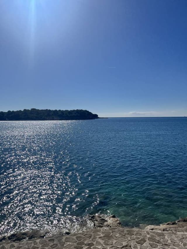 Photo 2 by John B. (10/18/25)