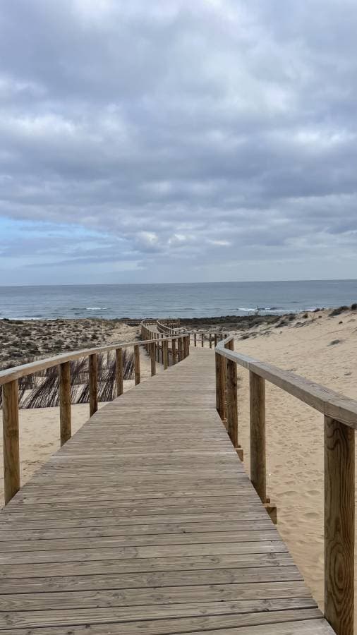 Zdjęcie wykonane przez Magdalena J. dotyczące wynajmu Skoda Scala w Alicante dnia (31.01.24)