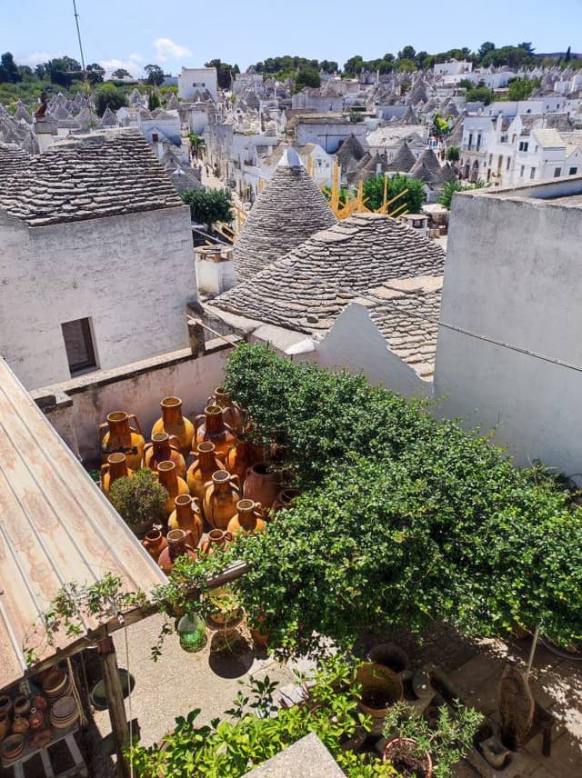 Zdjęcie 1 wykonane przez Adam Z. (7.08.23)