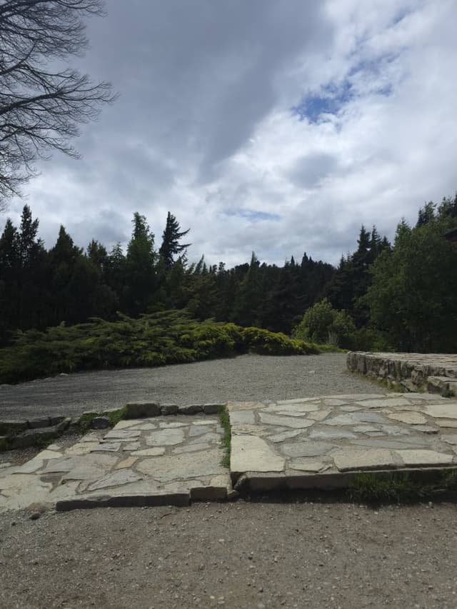 Foto 3 de DIANA M V. (14/11/25)