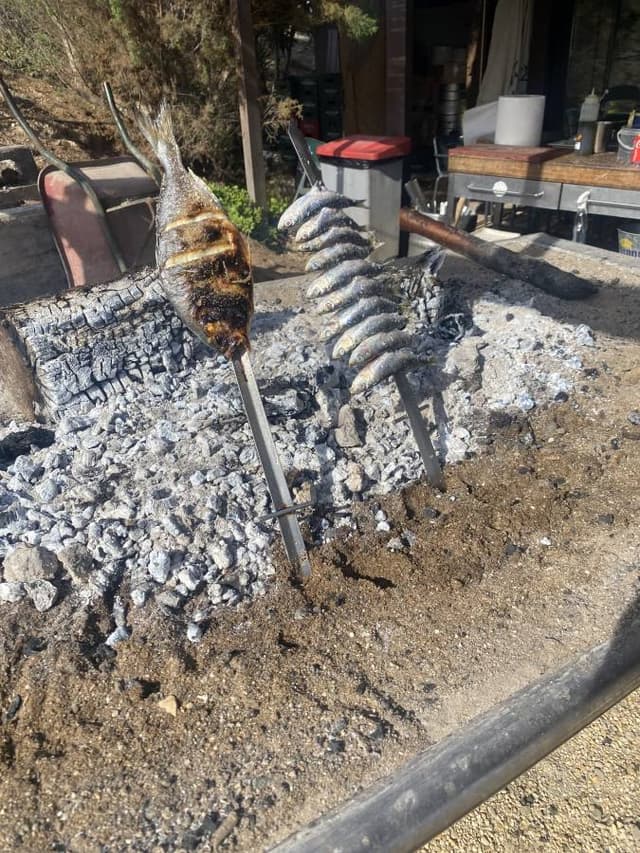 Photo 1 by John B. (10/27/25)