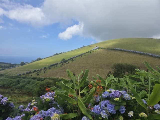 Photo 1 by Teresa W. about renting a Peugeot 208 in the Azores Islands (7/29/25)