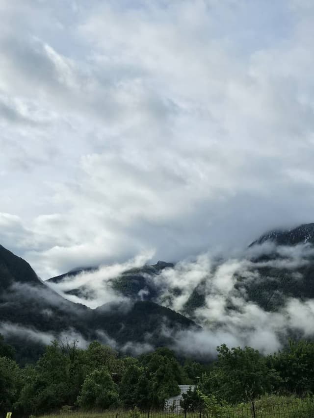 Foto 2, ko uzņēmis Arturs S. (22.05.26.) īri