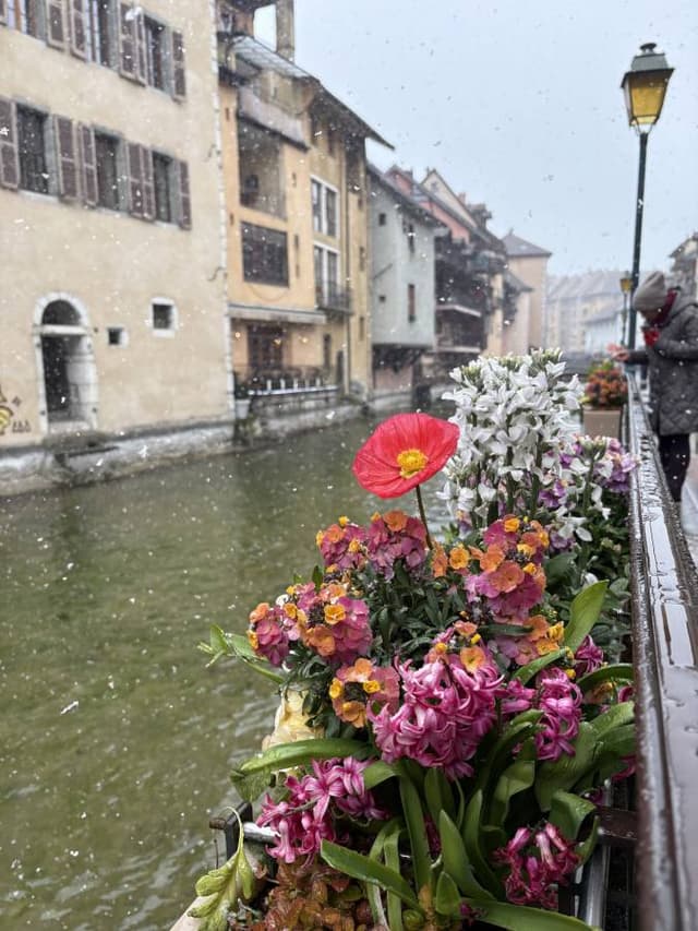 Cetin G. tarafından 2 fotoğraf (26.03.26)