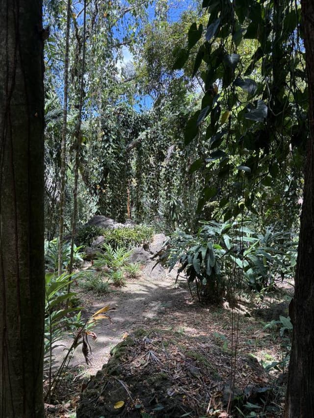 Photo 1 by Richard Y. about renting a Subaru XV in Fiji (10/5/25)