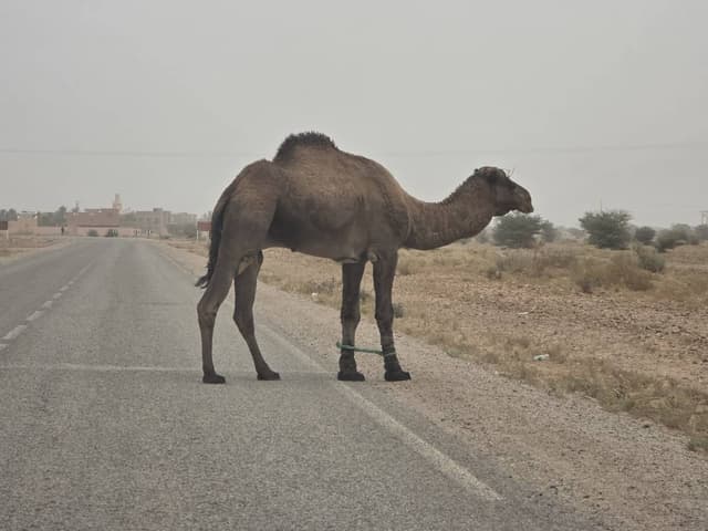 Foto 4 di Francesco L. (15/01/26)