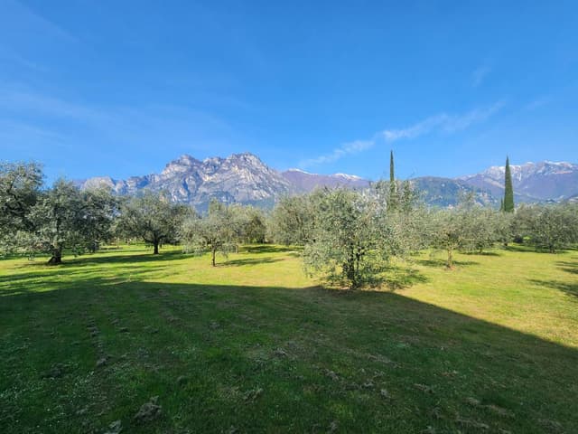 Photo 1 by ALEXANDER A. about renting a Volkswagen T-Cross in Bergamo (4/18/25)