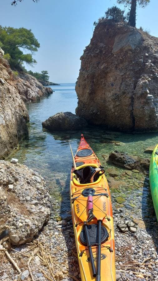 Photo 1 by Edith P. (9/2/23)