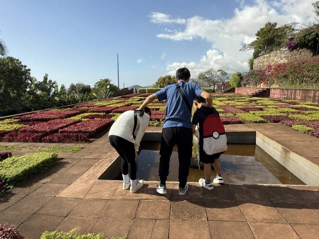 Photo 3 by Weixi Y. about renting a Ford Tourneo Connect at Madeira Funchal Airport (12/31/24)