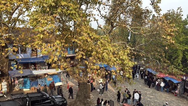 Photo 2 by ahmad H. (10/20/25)