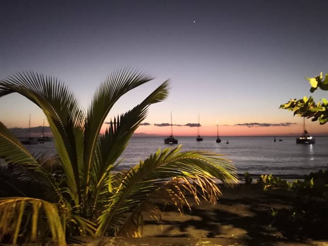 Photo 2 by Petra A. (3/29/23)