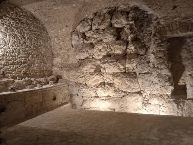 Foto 2 di Antonio Angelo F. (11/04/25)