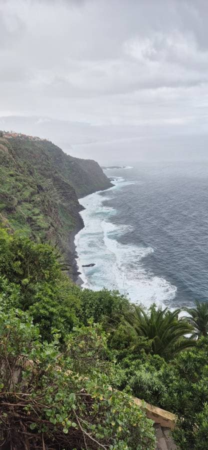 Foto 1 de M Isabel L. (24/1/26)