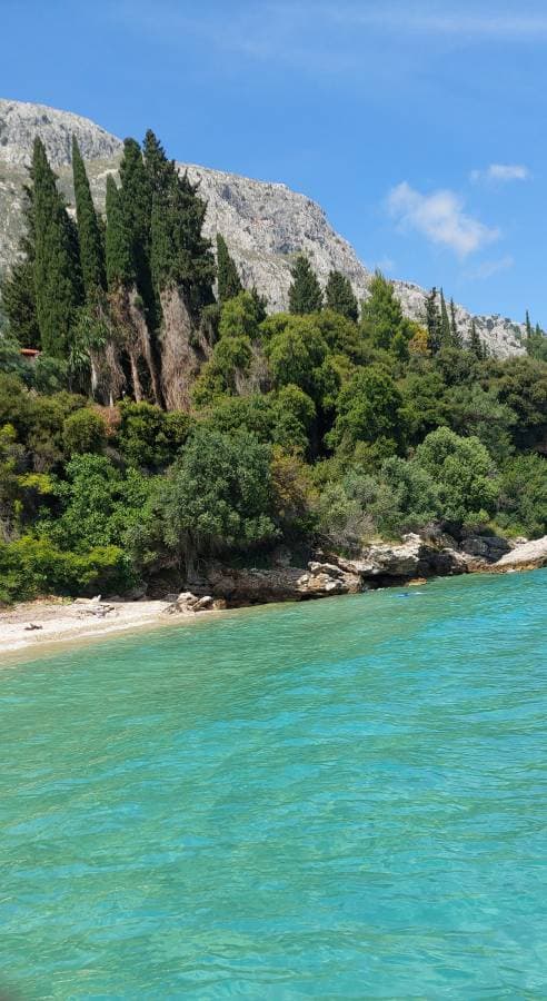 Foto 1 van Wensley F. (6-5-25)