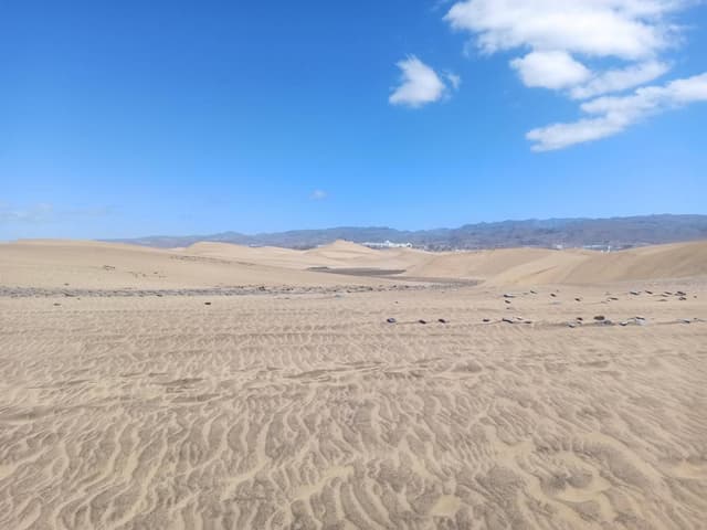 Photo 1 by Inaki A. about renting a Fiat 500 in the Canary Islands (5/3/24)