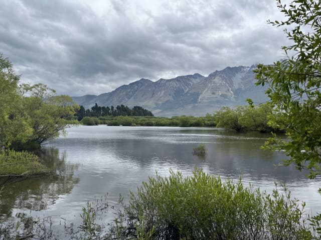 Photo 1 by Jacqueline C. about hiring a Toyota Corolla at Queenstown Airport (12/01/26)