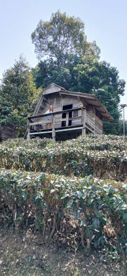 Photo 4 by steven M. (3/22/26)